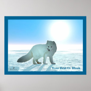 Arctic Fox Poster