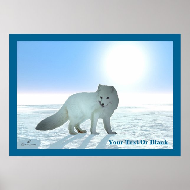 Arctic Fox Poster (Front)