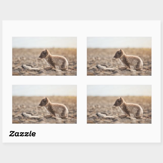 Arctic Fox Rectangular Sticker (Sheet)
