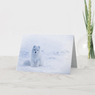 Arctic Fox Sitting in Snow Holiday Card