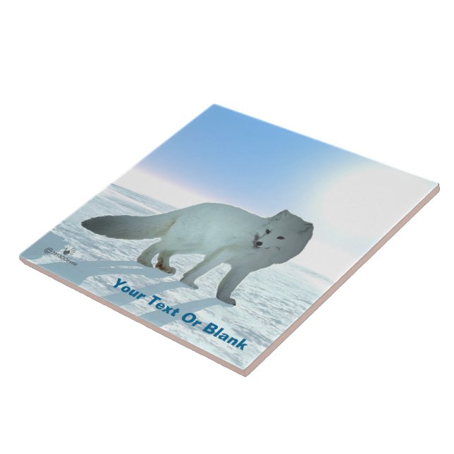 Arctic Fox Tile (Side)