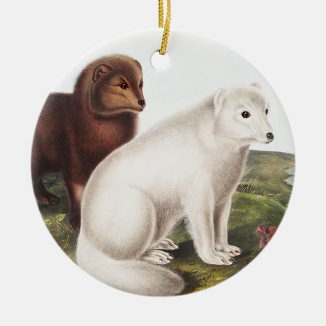 Arctic Fox (Vulpes lagopus) Illustration Ceramic Tree Decoration (Front)