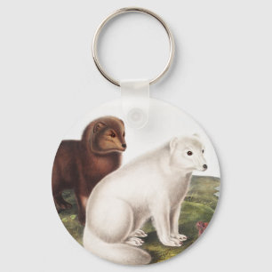 Arctic Fox (Vulpes lagopus) Illustration Key Ring