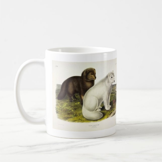 Arctic Fox (White Fox, Polar Fox, Snow Fox) Coffee Mug (Left)