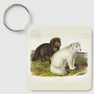Arctic Fox (White Fox, Polar Fox, Snow Fox) Key Ring