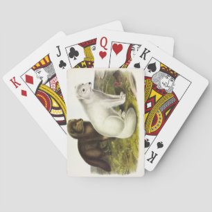 Arctic Fox (White Fox, Polar Fox, Snow Fox) Playing Cards
