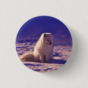 Arctic Fox Winter Snow Landscape 3 Cm Round Badge