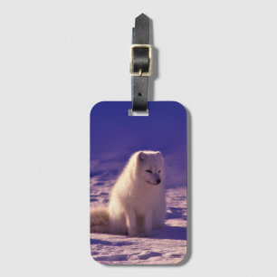 Arctic Fox Winter Snow Landscape Luggage Tag