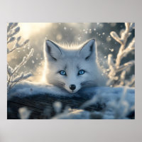 Arctic Fox with Mesmerizing Blue Eyes 