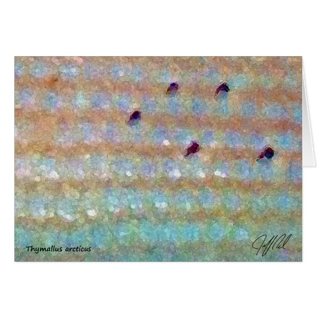 Arctic Grayling - Card (Front Horizontal)