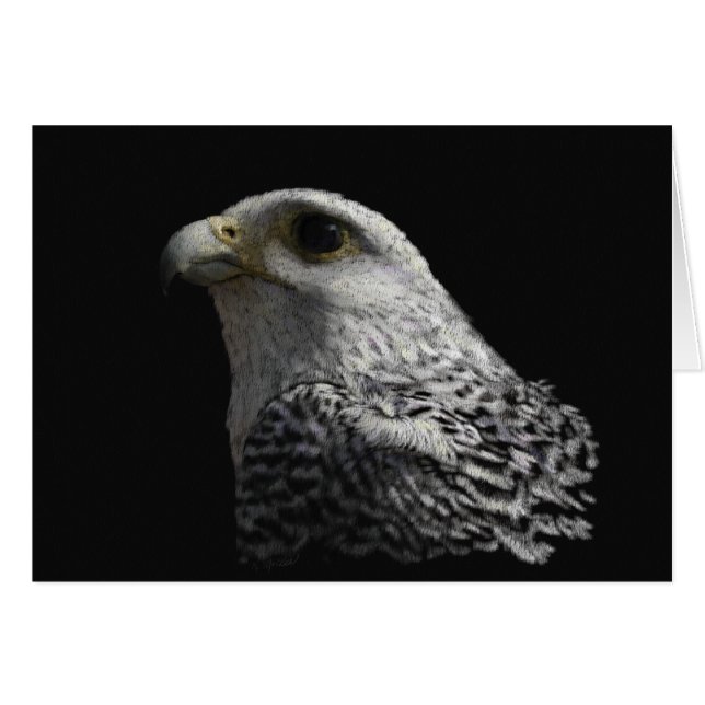 Arctic Gyrfalcon (Front Horizontal)
