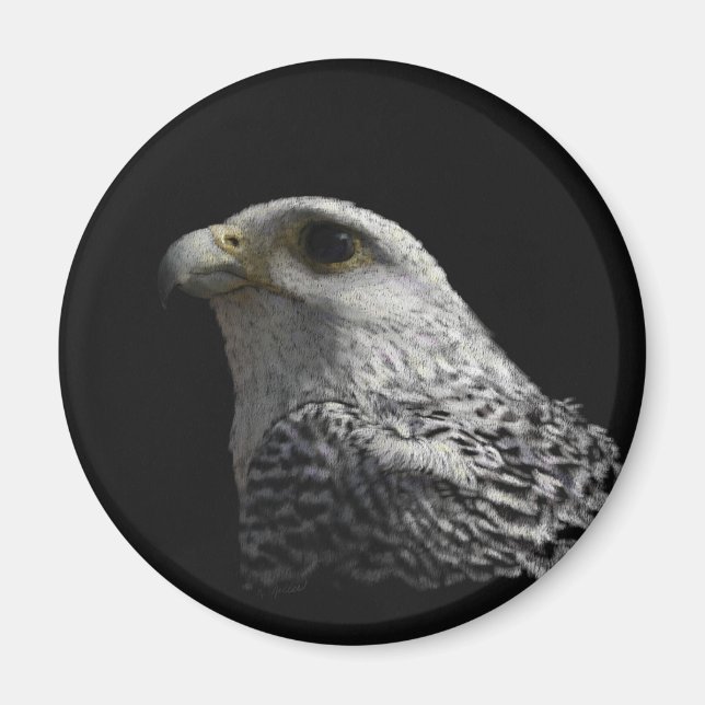 Arctic Gyrfalcon Magnet (Front)