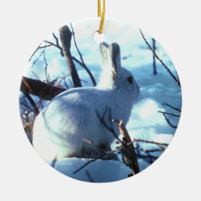 Arctic Hare in Snow Ceramic Tree Decoration (Front)