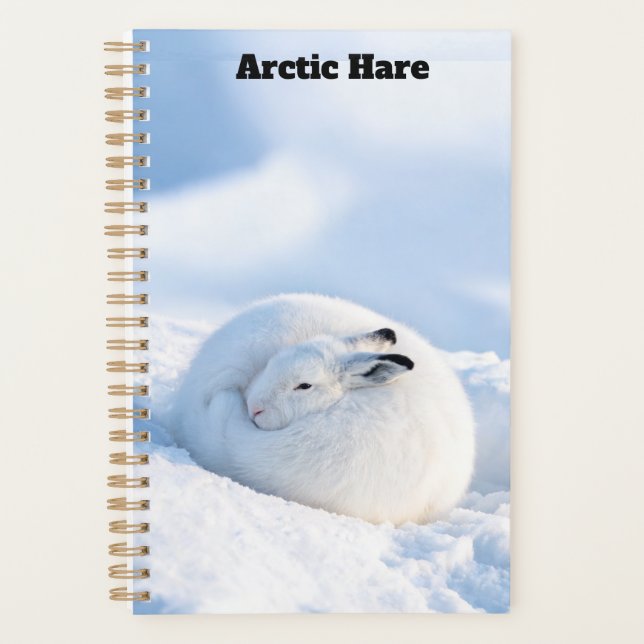 Arctic Hare Planner (Front)
