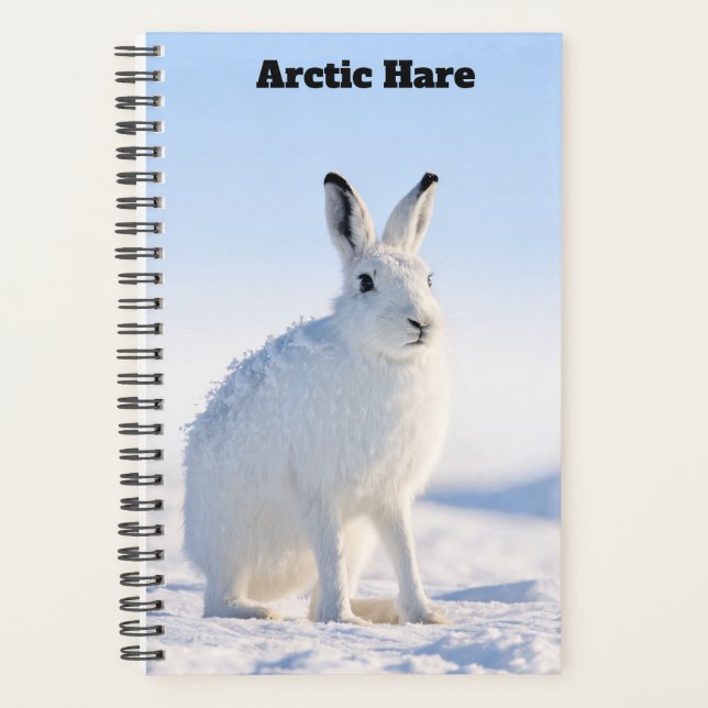 Arctic Hare Planner (Front)