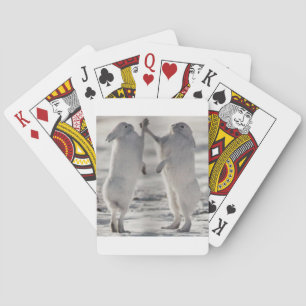 arctic hare rabbit bunny animal winter frozen snow playing cards