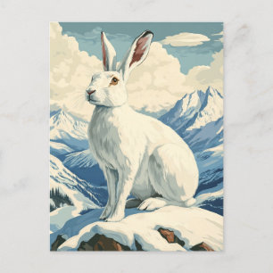 Arctic hare vintage postcard