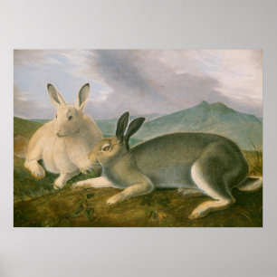 Arctic Hares Couple Landscape Watercolor Oil Poster