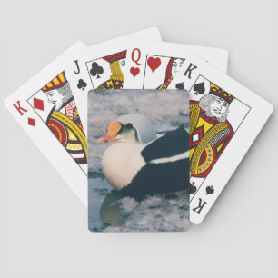 Arctic King Eider Waterfowl Bird Photo Design Deck Playing Cards