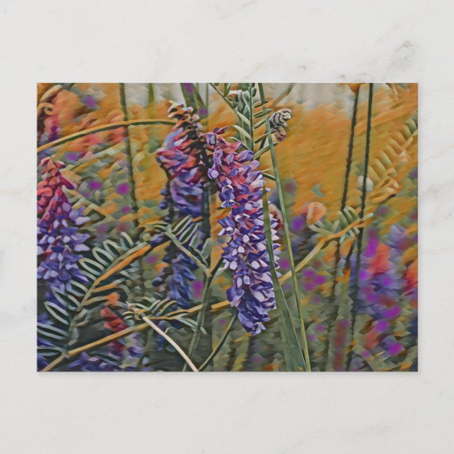 Arctic Lupine Vibrant  Postcard (Front)