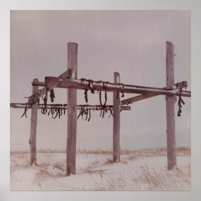 Arctic Meat Drying Rack, Old Pt. Lay Village Photo Poster (Front)