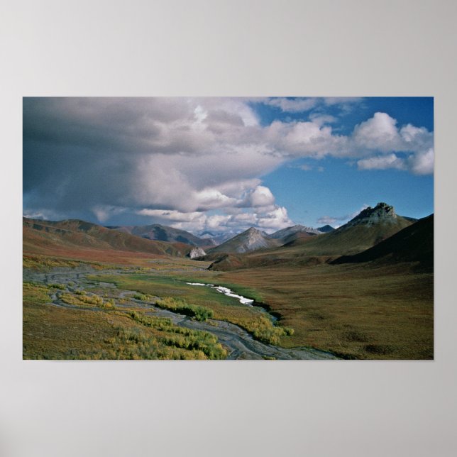 Arctic National Wildlife Refuge Poster (Front)