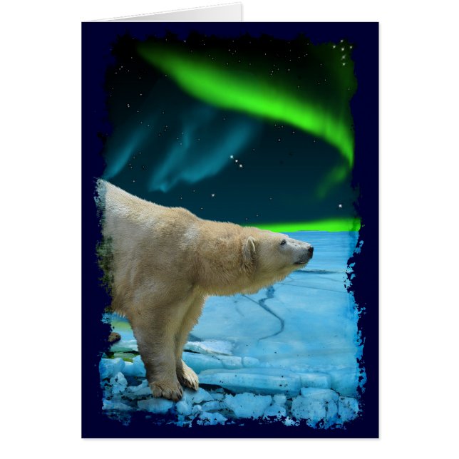 Arctic Polar Bear & Aurora Art Gifts (Front)
