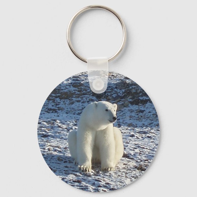 Arctic Polar Bear Key Ring (Front)