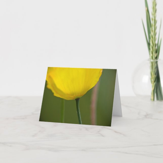 Arctic Poppy Note Card (Front)