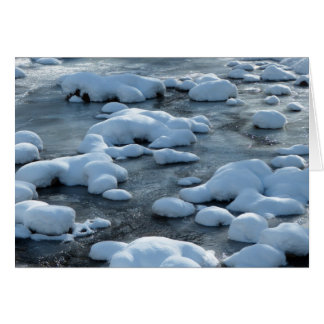 Arctic Scene