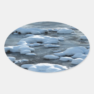 Arctic Scene Oval Sticker