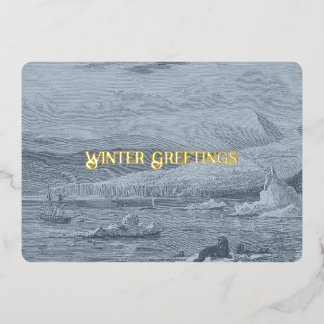 Arctic Scene Postcard