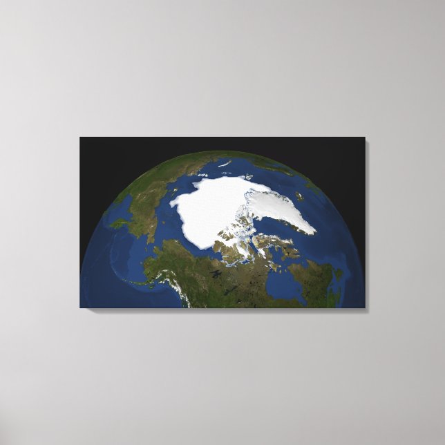 Arctic sea ice in 2005 canvas print (Front)