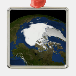 Arctic sea ice in 2005 metal tree decoration
