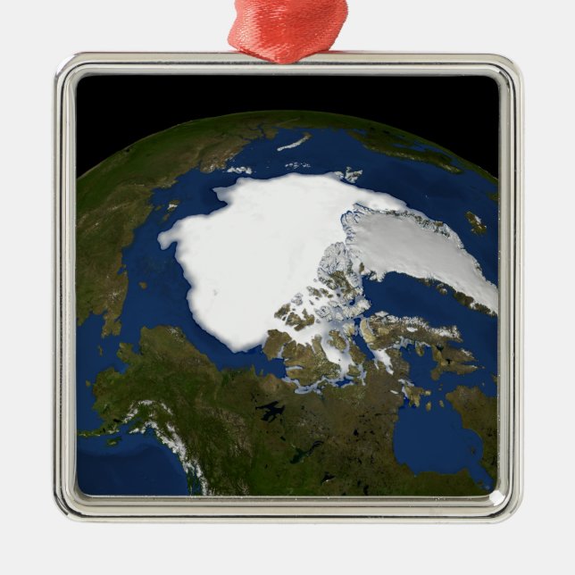 Arctic sea ice in 2005 metal tree decoration (Front)