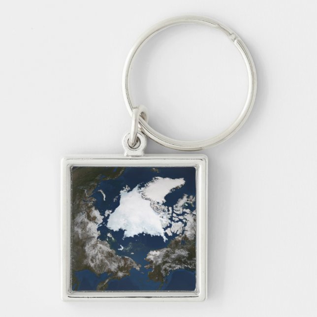 Arctic sea ice key ring (Front)