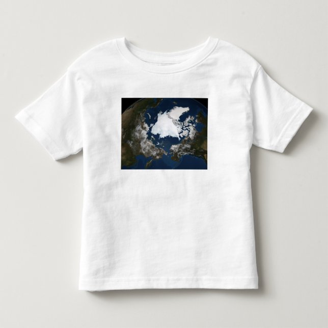 Arctic sea ice toddler T-Shirt (Front)