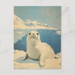 Arctic Seal vintage Postcard