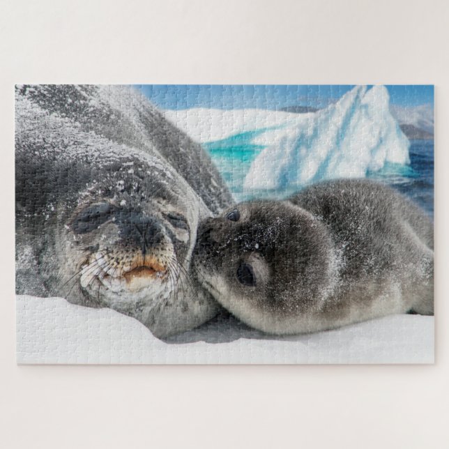 arctic seals puzzle  (Horizontal)
