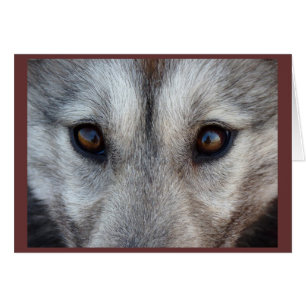 Arctic Sled Dog Card Custom Wolf Pup Card