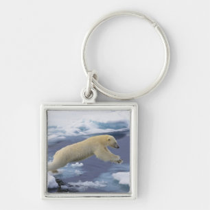 Arctic, Svalbard, Polar Bear extending Key Ring
