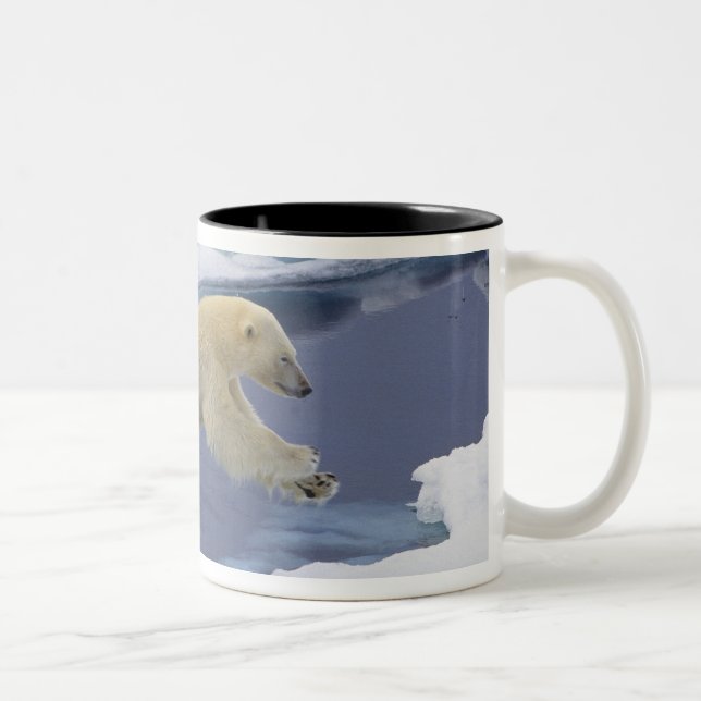 Arctic, Svalbard, Polar Bear extending Two-Tone Coffee Mug (Right)