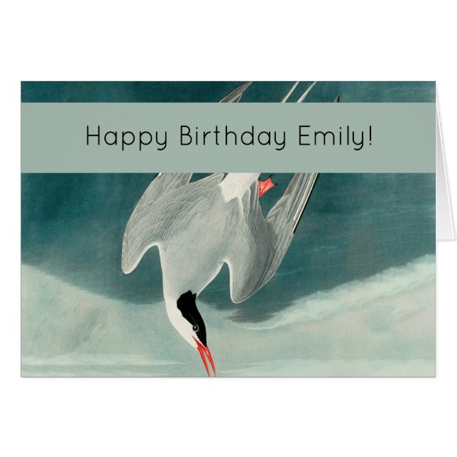 Arctic Tern Audubon Bird Wildlife Painting (Front Horizontal)