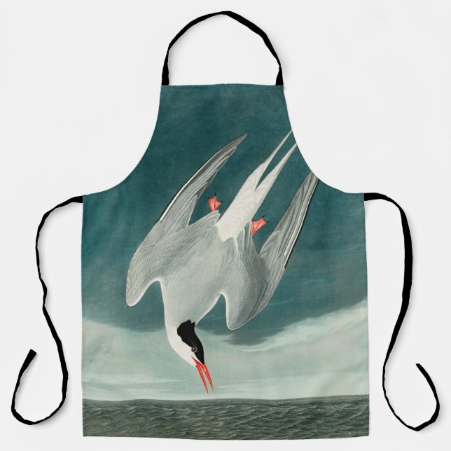 Arctic Tern Audubon Bird Wildlife Painting Apron (Front)