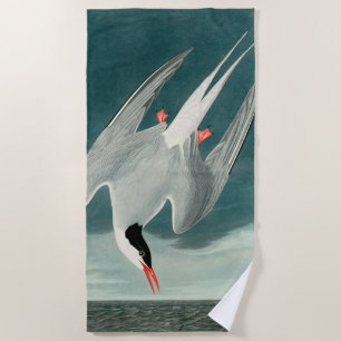 Arctic Tern Audubon Bird Wildlife Painting Beach Towel