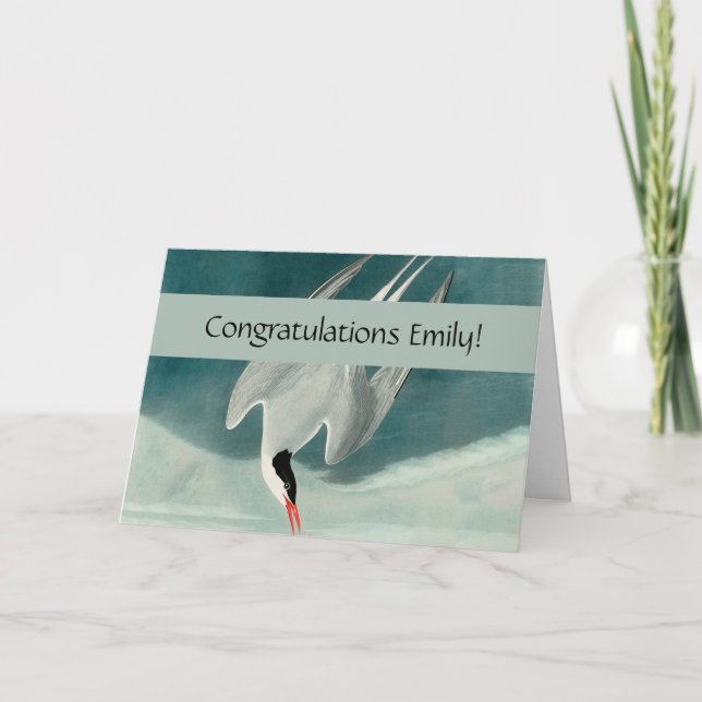 Arctic Tern Audubon Bird Wildlife Painting Card (Front)
