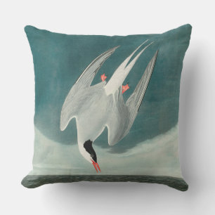 Arctic Tern Audubon Bird Wildlife Painting Cushion