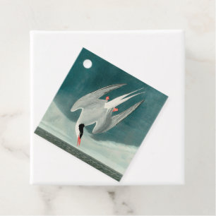Arctic Tern Audubon Bird Wildlife Painting Favour Tags