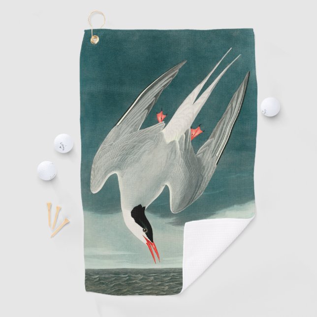 Arctic Tern Audubon Bird Wildlife Painting Golf Towel (InSitu)