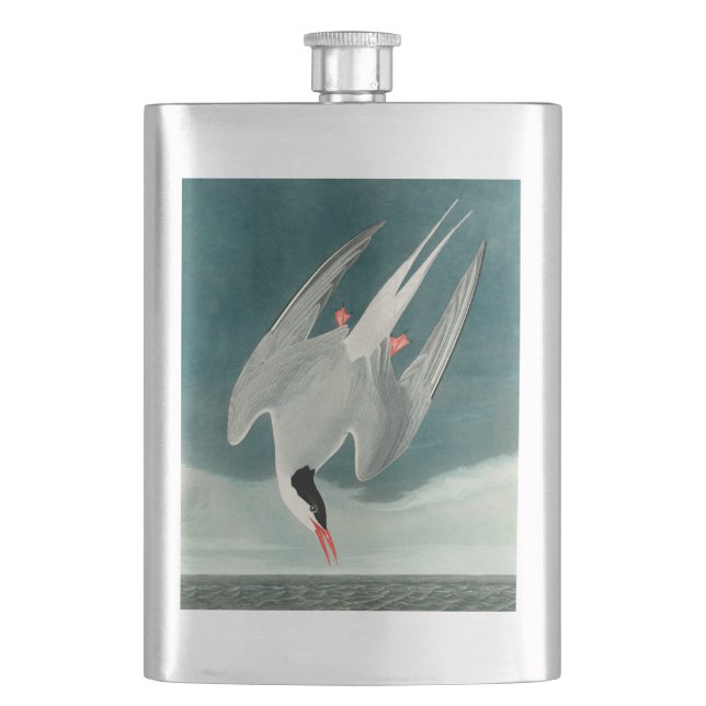 Arctic Tern Audubon Bird Wildlife Painting Hip Flask (Front)